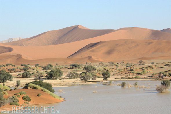 Afrika Namibia Rundreise Wüste